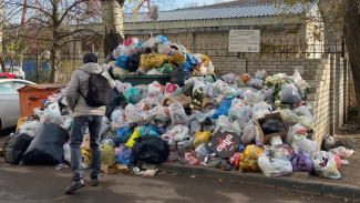 Воронежцы пожаловались на огромную мусорку в центре города