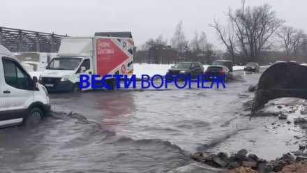 Воронежских водителей призвали оставаться дома из-за сильнейшего гололёда