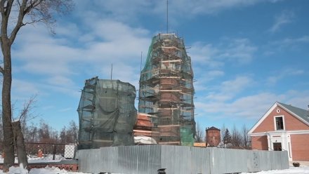 На реставрацию дворца Ольденбургских в Воронежской области выделят 750 млн рублей