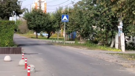 В Воронеже на 9 улиц вернули «лежачих полицейских»
