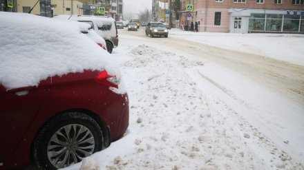 Снегопад запер воронежских автомобилистов на платных парковках