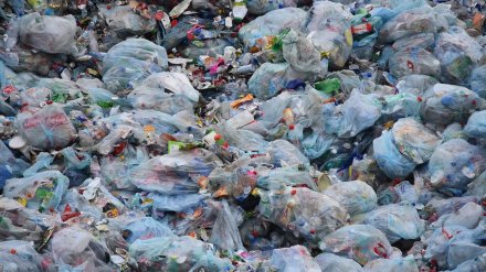 Под Воронежем уничтожат огромную незаконную свалку