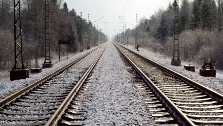 Новые ускоренные поезда запустят между Воронежем и Белгородом 