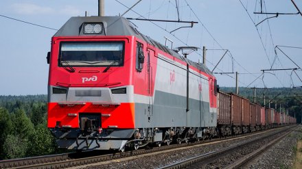В Воронежской области при движении загорелся электровоз
