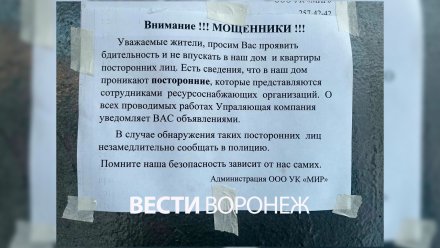 Мошенники начали проникать в многоэтажки в центре Воронежа