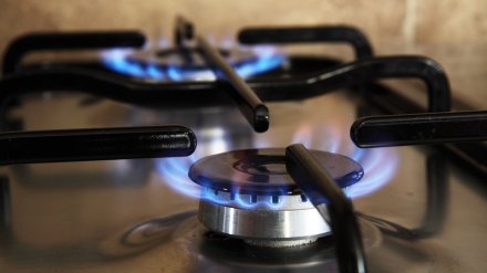 Воронежцы задолжали за газ более 700 млн рублей