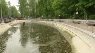 В ужасном цветении озера в Центральном парке власти обвинили тёплую погоду и воронежцев