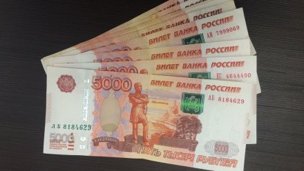 Попытавшегося подкупить воронежского чиновника предпринимателя отпустили под залог в 1 млн