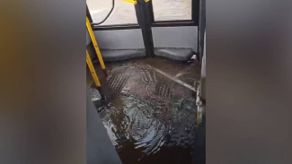 В Воронеже затопило маршрутку с пассажирами