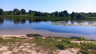Под Воронежем 16-летний подросток утонул в реке во время отдыха с отцом