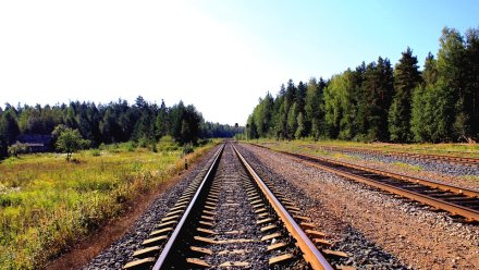 Поезд протаранил КамАЗ на железнодорожном переезде в Воронежской области