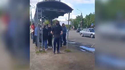 В Воронеже водитель маршрутки пожертвовал выручкой ради спасения пассажирки