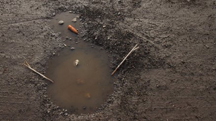 Синоптики: в Воронежской области на рабочей неделе столбик термометра поднимется до +7