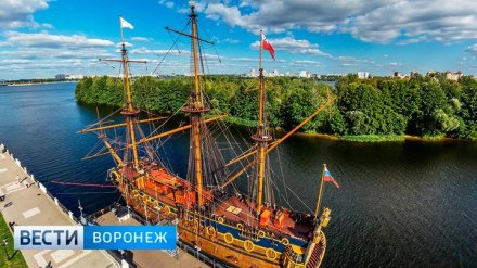 Блогер Варламов высмеял «пластиковое убожество» на воронежской «Гото Предестинации»