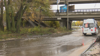 Водители пожаловались на огромную лужу под Северным мостом в Воронеже 
