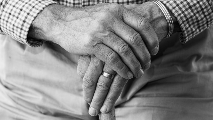 В Воронеже на территории аэродрома нашли мёртвым пропавшего 77-летнего пенсионера