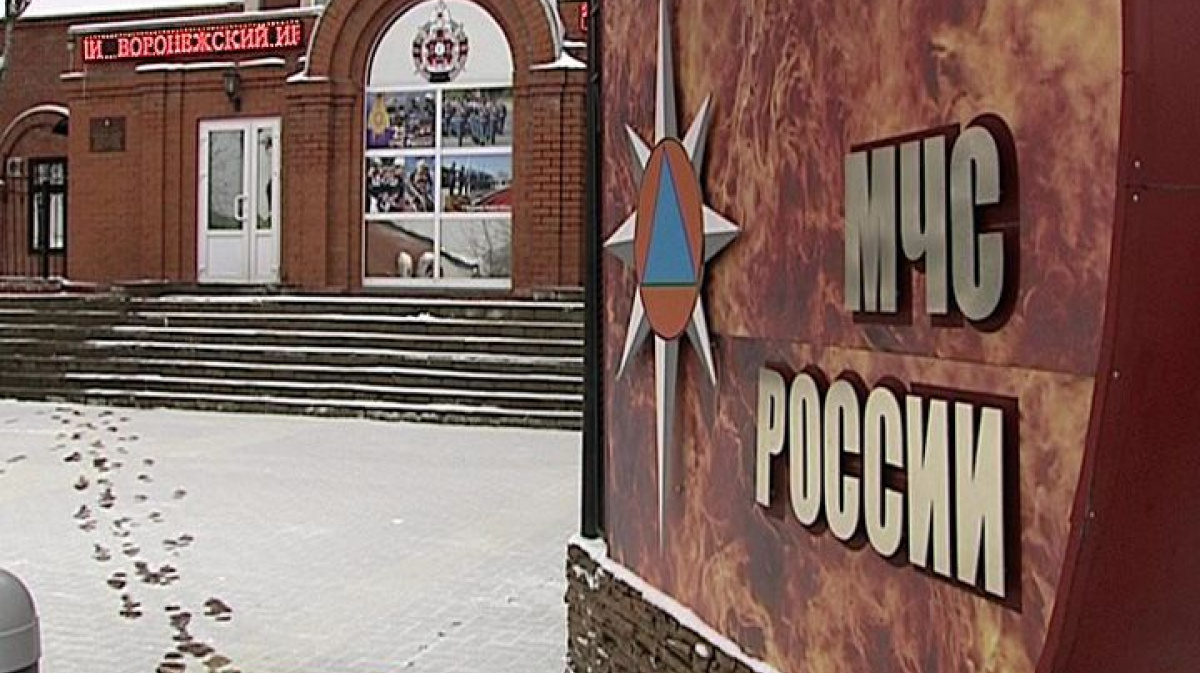 Ликвидация института мчс. МЧС Воронеж.