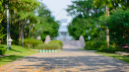 Прокуратура обязала мэра Воронежа очистить от мусора три парка