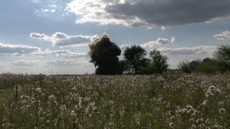 Воронежцам показали на видео уничтожение 101 боеприпаса времён Великой Отечественной войны