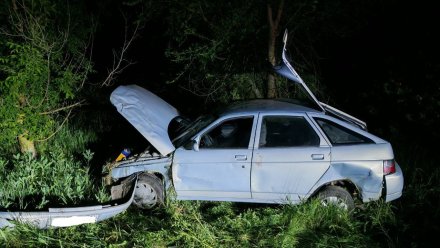 В Воронежской области ВАЗ вылетел с дороги и перевернулся: пострадали мужчина и женщина