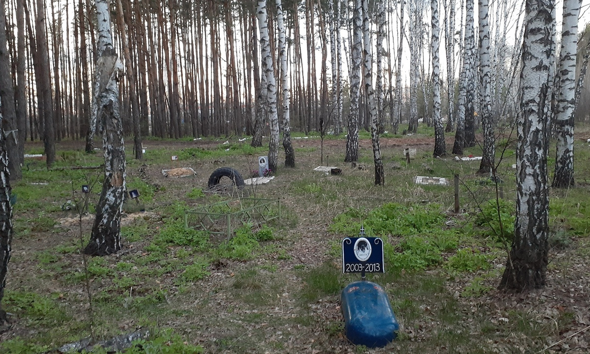 Кладбища домашних животных в лесах рассорили воронежцев – Новости Воронежа  и Воронежской области – Вести Воронеж