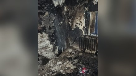 СК выяснит, по чьей вине на пожаре в воронежском селе обгорела 11-месячная малышка
