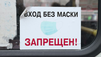 Воронежская область начала спускаться с плато по ковиду