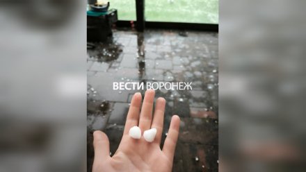 Град и ливни обрушатся на Воронежскую область 24 сентября 