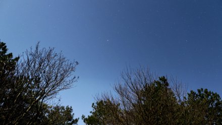 Украинские дроны приблизились к Воронежской области 9 ноября