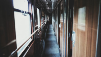 Пятерых пассажиров сняли с поезда Москва – Воронеж из-за пьяной драки