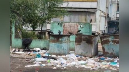 В Воронеже двор многоэтажки у детсада «утонул» в мусоре