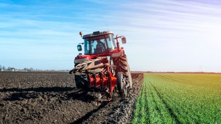 Воронежским производителям сельхозтоваров выделят субсидии