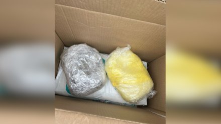 Полицейские нашли 1,5 кг наркотиков в коробке для памперсов в Воронежской области
