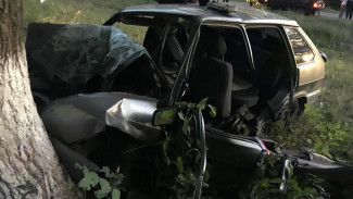 В Воронежской области в пьяном ДТП разбился 23-летний пассажир