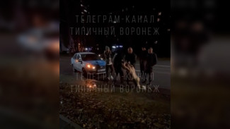 Полиция выяснит причину неадекватного поведения парня на памятнике Славы