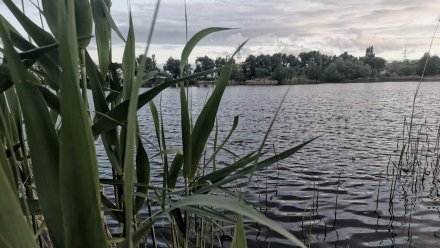 Утонувший в озере под Воронежем мужчина оказался десантником 
