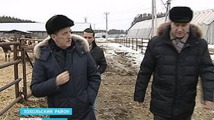 Как развивается мясное животноводство в Хохольском районе, оценил глава области