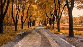 В Воронеже кварталы на Никитинской и в переулке Отличников ждёт комплексное обновление