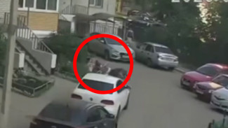 Бойцовские псы разорвали собаку на глазах у ребёнка в воронежском ЖК