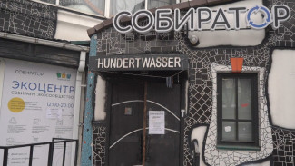 «Такого в Воронеже больше нет». Почему экоцентр «Собиратор» нужно спасти от закрытия