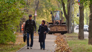 Воронежцам напомнили о возможности сделать город чище и выйти на субботники