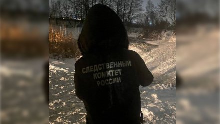 Двое детей утонули в Усманке под Воронежем