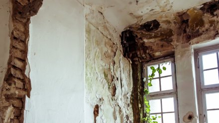 Воронежская семья переехала на съёмную квартиру из-за адских условий в доме