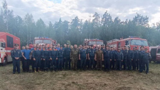 Воронежские спасатели помогли потушить пожар в биосферном заповеднике в Липецкой области