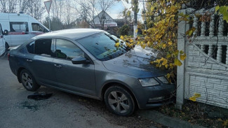 В Семилуках Skoda вылетела в кювет: водитель разбился насмерть