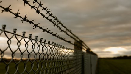 20-летнего воронежца отправили в колонию на два года за избиение двух человек