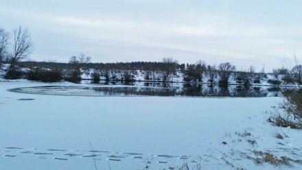 Под Воронежем рыбак провалился под лёд и утонул