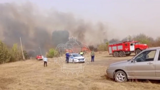 Два дома загорелись в воронежском селе Бычок