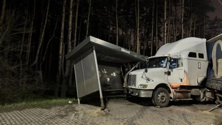 Фура снесла остановку в воронежском Подгорном