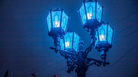 Здания в центре Воронежа подсветят синим в поддержку людей с аутизмом